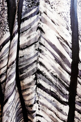 Black and white fabric texture, natural pattern