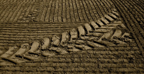 country art,land art