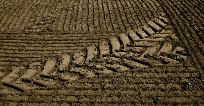 country art,land art