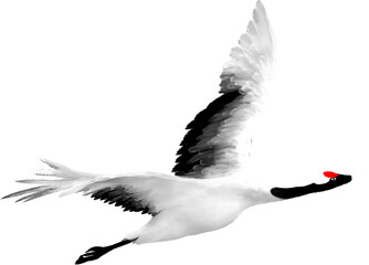 학