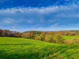 Devon fields near Woodbury Common in Devon