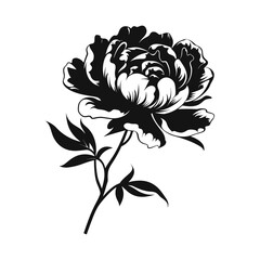 A Peony Flower Vector Silhouette isolated on a white background