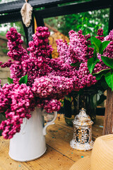live purple lilac in a greenhouse. photo zone in a glass greenhouse with marvelous lilac flowers. small flowers of mossy lilac