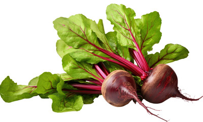 Beetroot with leaves isolated on transparent or white background
