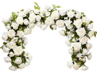 Beautiful white rose flowers in a big arch isolated on transparent background