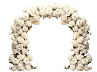 Beautiful white rose flowers in a big arch isolated on transparent background