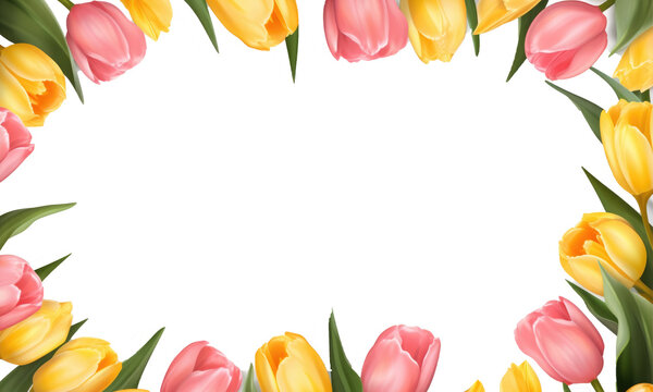 frame of colorful tulips on transparent background
