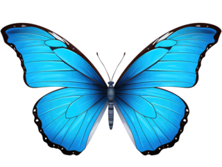 blue butterfly isolated on transparent background