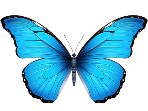 blue butterfly isolated on transparent background