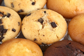 Muffins - 691009644