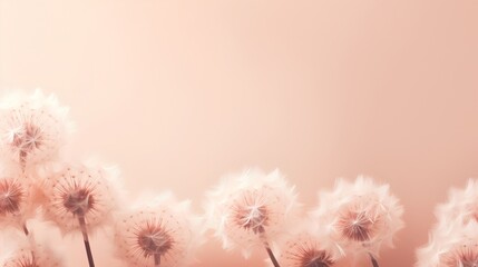 A serene and elegant photo capturing the delicate beauty of dandelion fluff against a minimalist backdrop, perfect for a gentle and soft wallpaper with ample copy space for text.