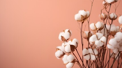 Delicate beauty of a cotton plant, set against a soft background that provides ample space for text, exuding an elegant and serene aesthetic.