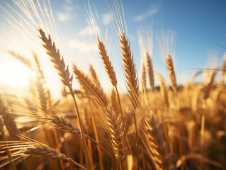 A vast sunlit field of golden wheat swaying in the breeze.