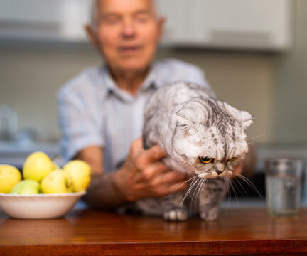 Photo of senior man with Scottish Fold cat