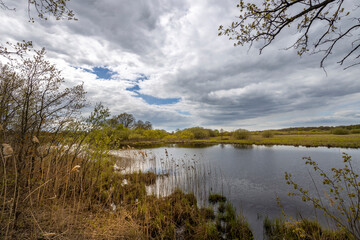 Early spring, gloomy sky reflected in the pond. Young grass along the river bank.