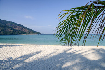 White beach with coconut palm leaf in tropical sea