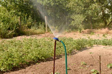 Installation for irrigation of a vegetable garden.