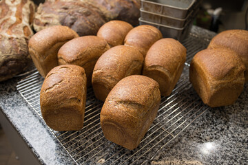 Freshly baked bread in the bakery
