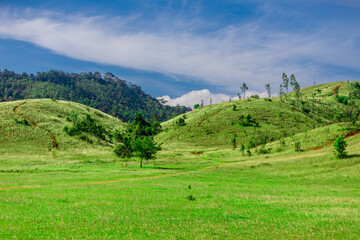 Obraz premium The view of the natural background of the mountain close-up, with blurred fog scattered in the rainy season or the humid climate, with beautiful green trees in the ecological system