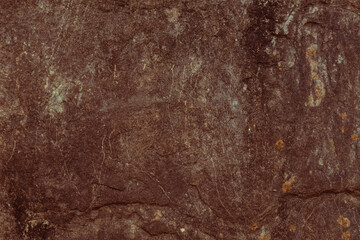 地層が固まった岩石