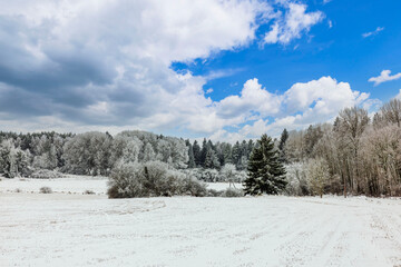 Beautiful winter landscape with snow-covered fields backdrop of forest and clear blue sky with white clouds. Sweden.