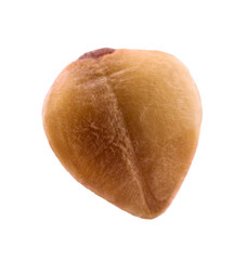 One buckwheat seed isolated on white, macro view