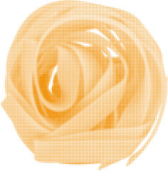 tagliatelle nest noodles, flat, raw, isolated on white background