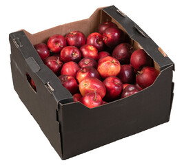 many apples in isometric open carton box isolated
