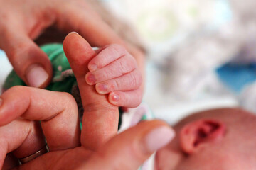 Small baby hands of a newborn baby. Babyhood and childhood concept