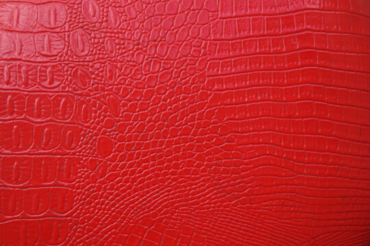 red crocodile skin artificial leather with waves and folds on PVC base. mock up space. empty background of Red crocodile leather. mockup texture backdrop. top view image.