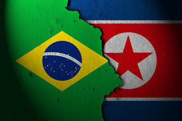 Relations between brazil and north korea