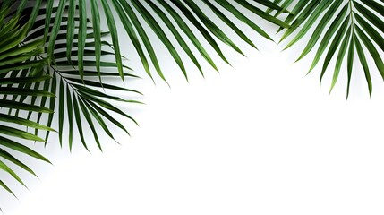 Isolated palm leaves. Generative AI