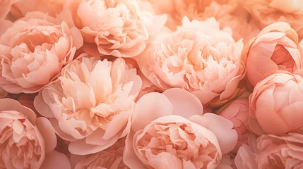 Fotobehang close up macro of beautiful peonies in peach fuzz color of the year 2024 © World of AI