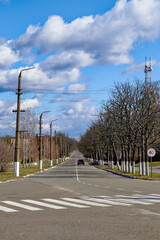Naklejka premium A long straight road lined with leafless trees under a blue sky.