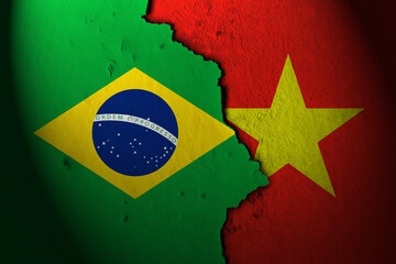 Relations between brazil and vietnam