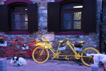 Alte schöne Fassade mit gelbem Fahrrad