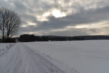 fields forerst in winter germany hessia