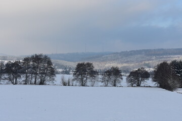 fields forerst in winter germany hessia