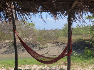 hammock in the garden