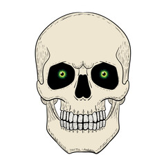 Skull with eyes vector illustration. Human head skeleton icon.