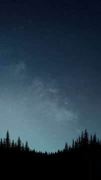 Starry night sky pine forest scenery illustration looping animation
