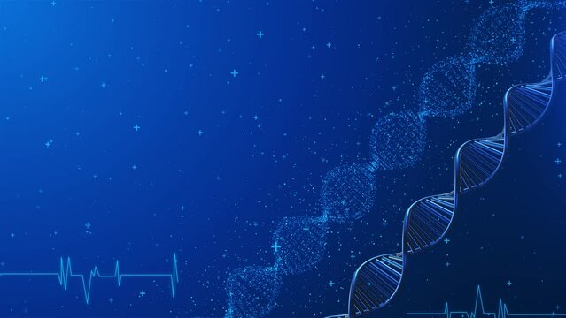 4k Dna genome animation. Bio genetic medical science. Gene helix model motion background. biology future. Concept animation digital DNA, human genome. Medical research, genetic engineering, biology.
