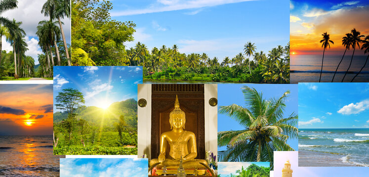 collage of tropical landscapes located in mosaic. Wide photo. Concept - vacation and travel. Sri Lanka.
