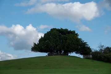 Bolton's Bench Lyndhurst Hampshire England to commemorate the Duke of Bolton  New Forest Master...