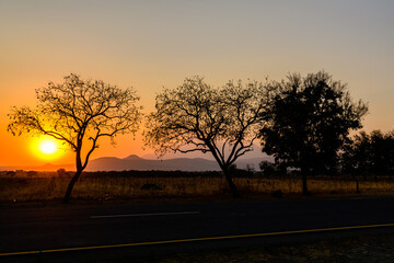 Landscape at the Arusha national park at sunset, Tanzania
