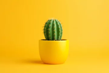 Wandcirkels aluminium Vibrant green cactus plant pot on bright yellow background, design for modern interiors and minimalist decor, DIY project. Banner with space for text. © NeuroCake