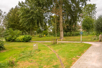 an elephant path in a park. A route created by walkers or cyclists.
