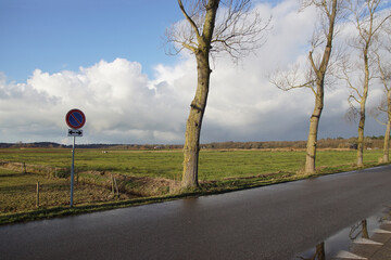 Dutch pasture landscape. Meadows, trees, road. Dunes in the distance. Blue and cloudy sky. Winter....