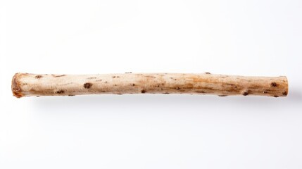 Dry tree branch on a white background isolated.