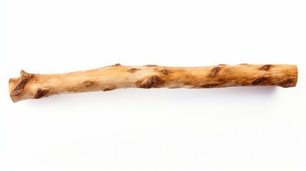 Dry tree branch on a white background isolated.